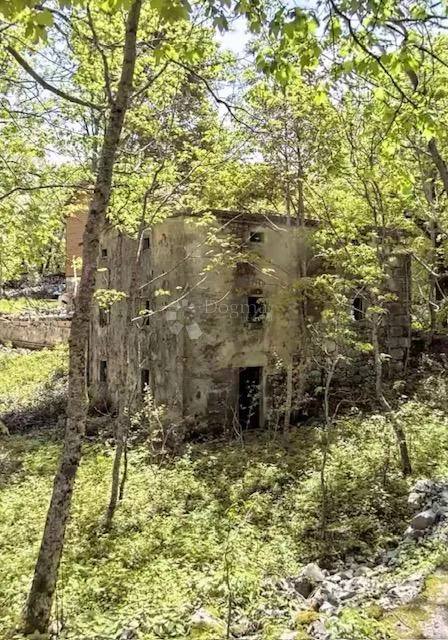 krmpote,ruševna starina - slika 4
