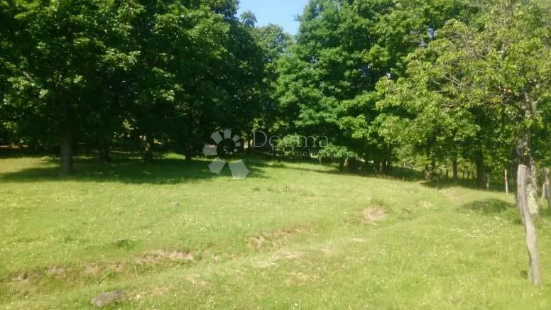 kutjevo - bajkovito imanje velikog potencijala - slika 5
