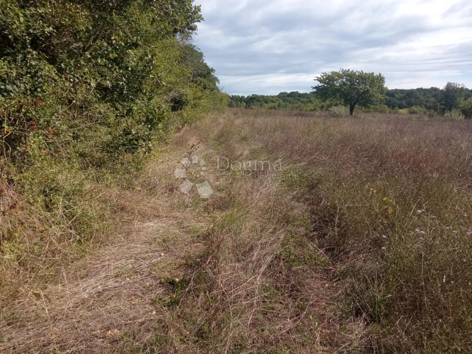 2,5 ha zemljišta na odličnoj lokaciji - slika 7
