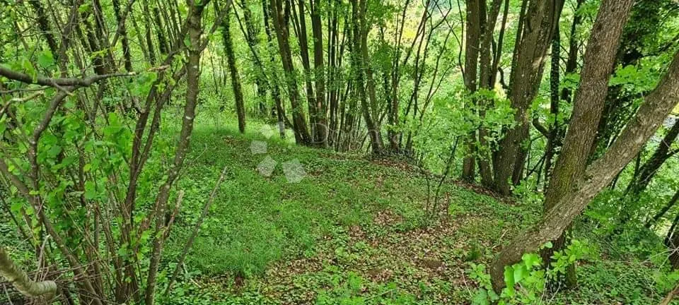 zemljište za hortikulturu ili pčelarstvo - slika 2