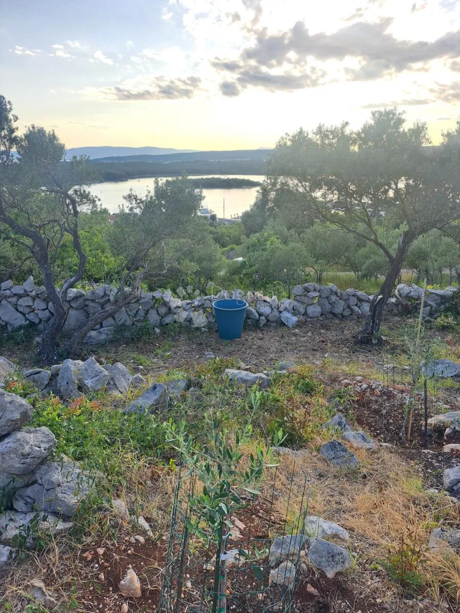 maslinik s pogledom na more – punat, otok krk - slika 3