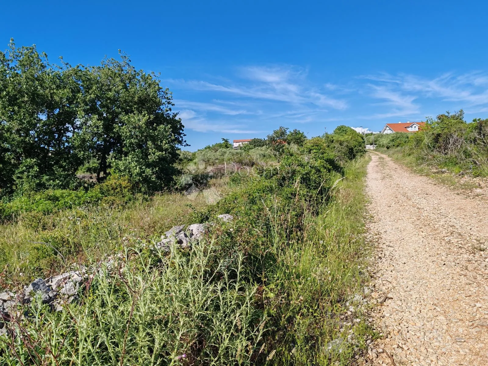 debeljak - građevinsko zemljište 8444 m² - slika 4