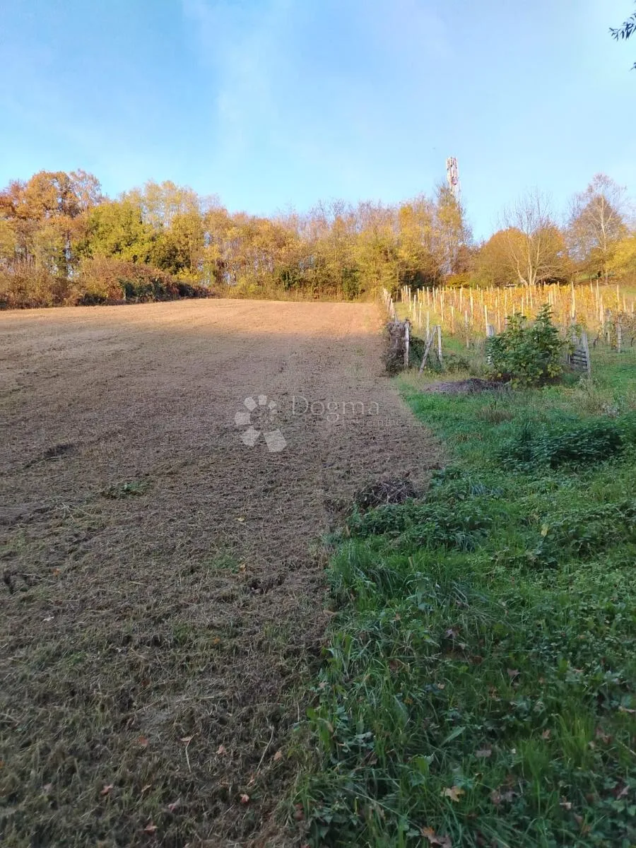 poljoprivredno zemljište picelj 4km od centra zaboka - slika 7