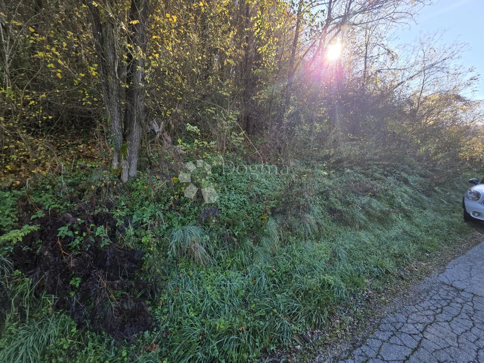 šuma i pašnjak 7.182m² u selnu kod krapinskih toplica - slika 3