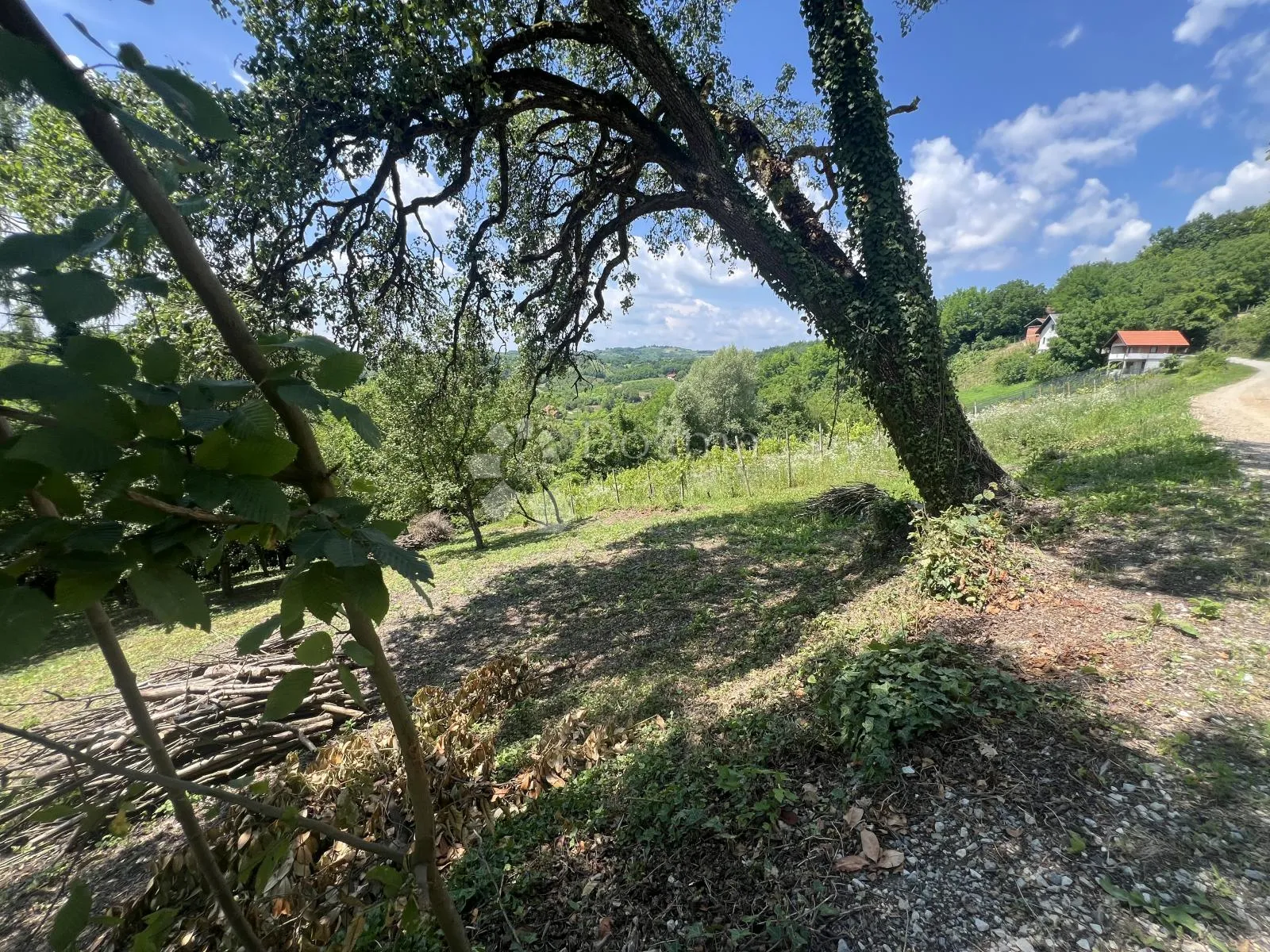 sekirišće - zemljište 3.570 m2 s dvije građevinske parcele i panoramskim pogledom - slika 4