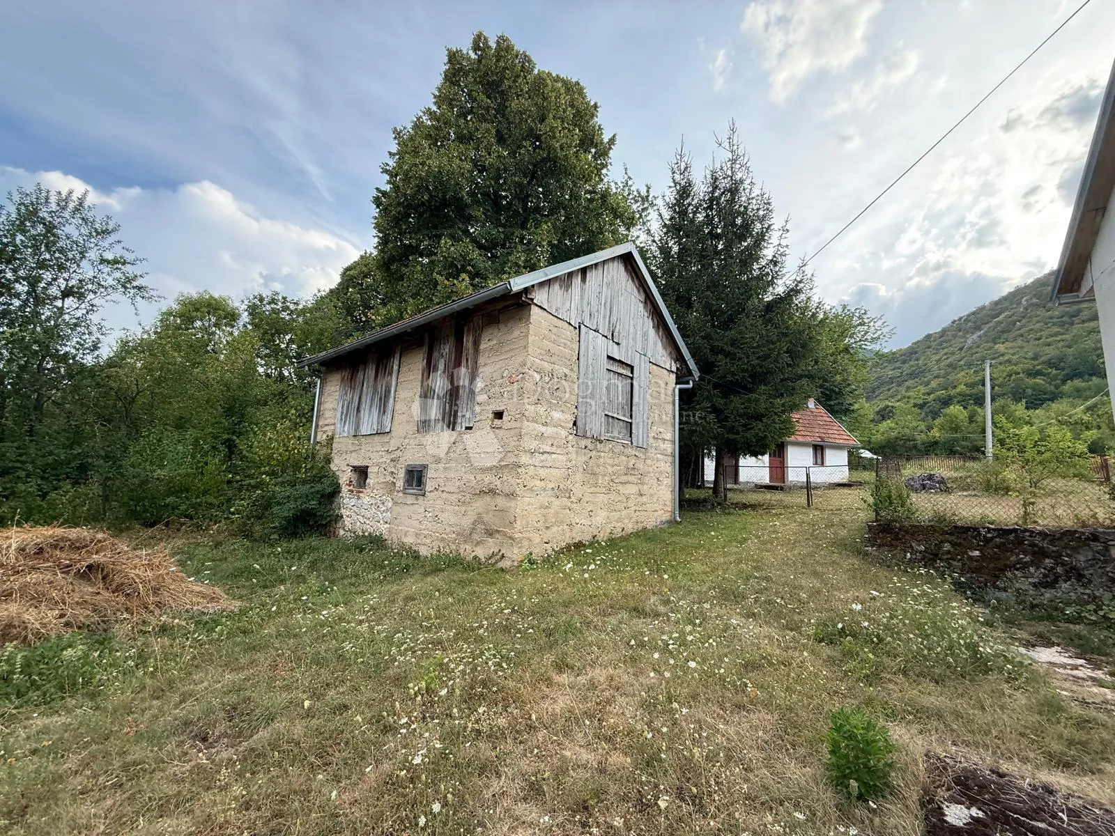 useljivo imanje na osami šuma zelenilo pogled - slika 22