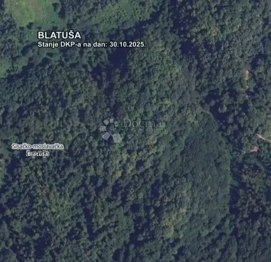 šumica uz potočić - slika 3