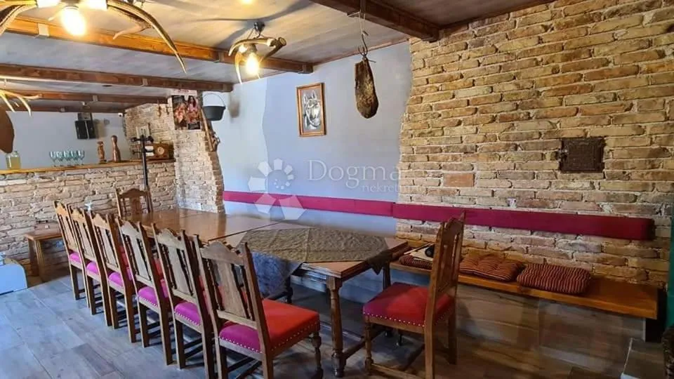 kuća čavle sa uhodanim turističkim najmom - slika 41
