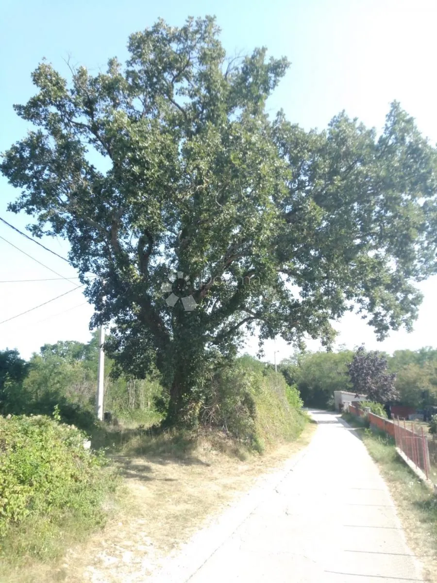 MIRAN RAJ na zemljištu površine 22 371 m2 (22,37 ha) dio GRAĐEVINSKI, Nedešćina - Istra! - Nedešćina, Sveta Nedelja