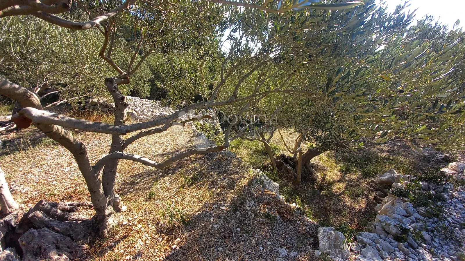 građevinsko zemljište uz magistralu 604m2 živogošće - slika 10