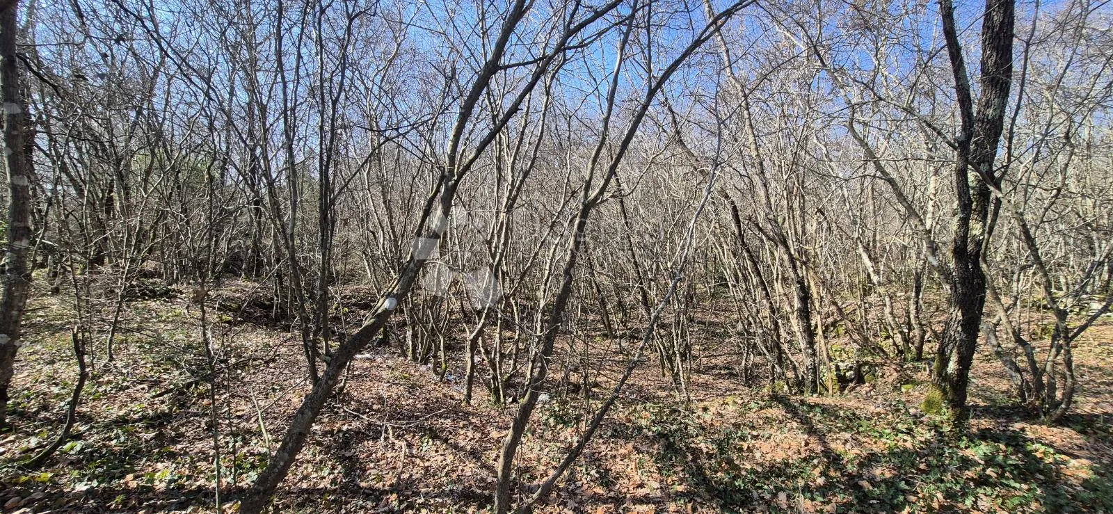 poljoprivredno zemljište površine 23953 m2 sa ogromnim potencijalom - slika 10