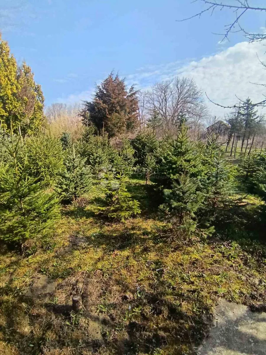 imanje s dva jezera i kućama na 23.755 m²! - slika 27