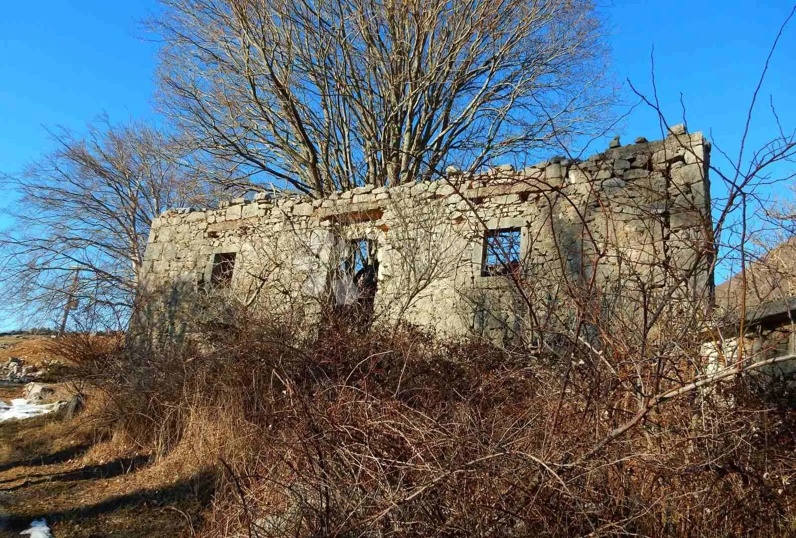 ruševna starina na učki - slika 3