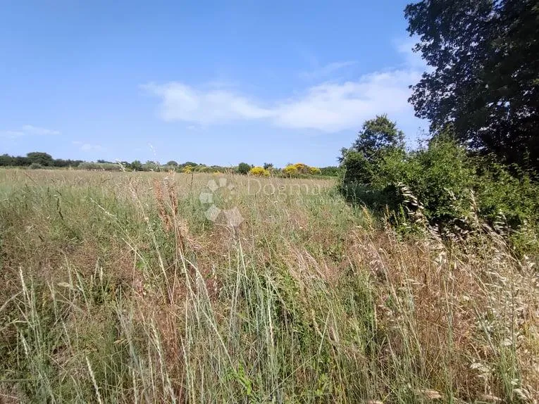 marčana, građevinsko zemljište za stambenu gradju - slika 4