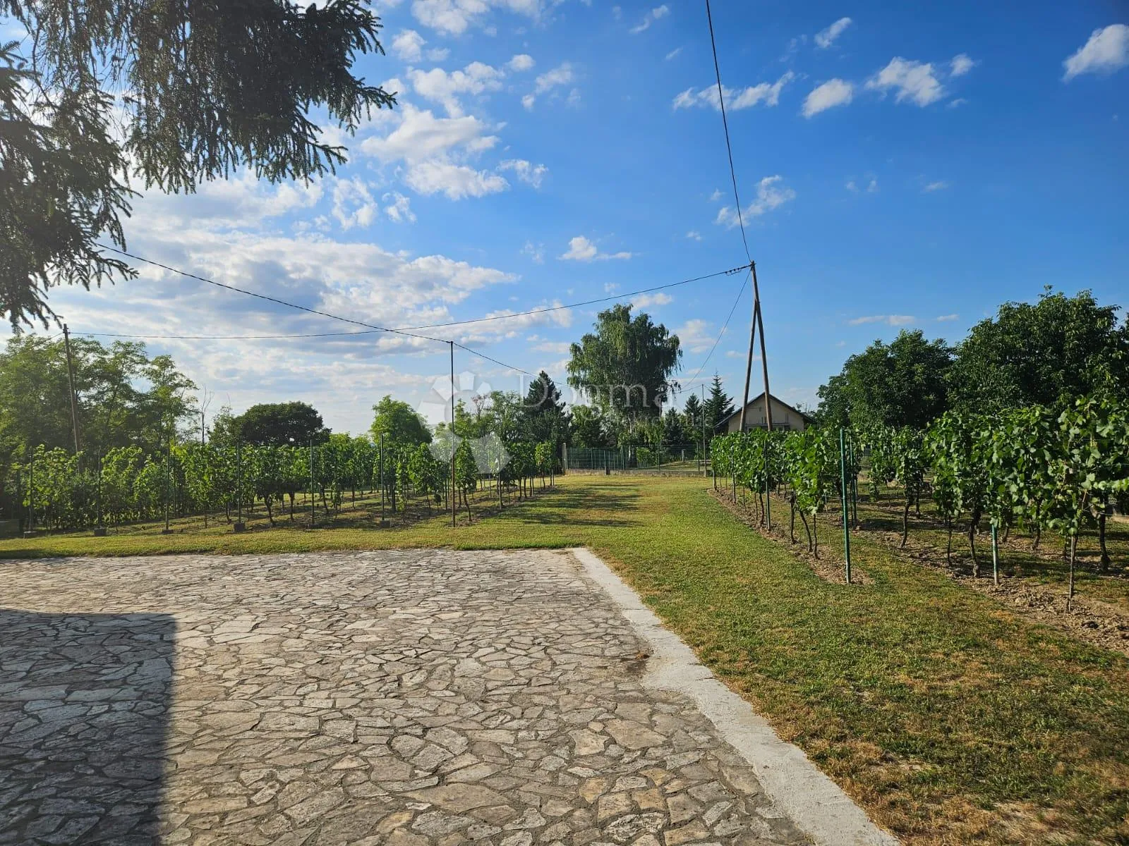 draž – ekskluzivno imanje za život i turizam - slika 9