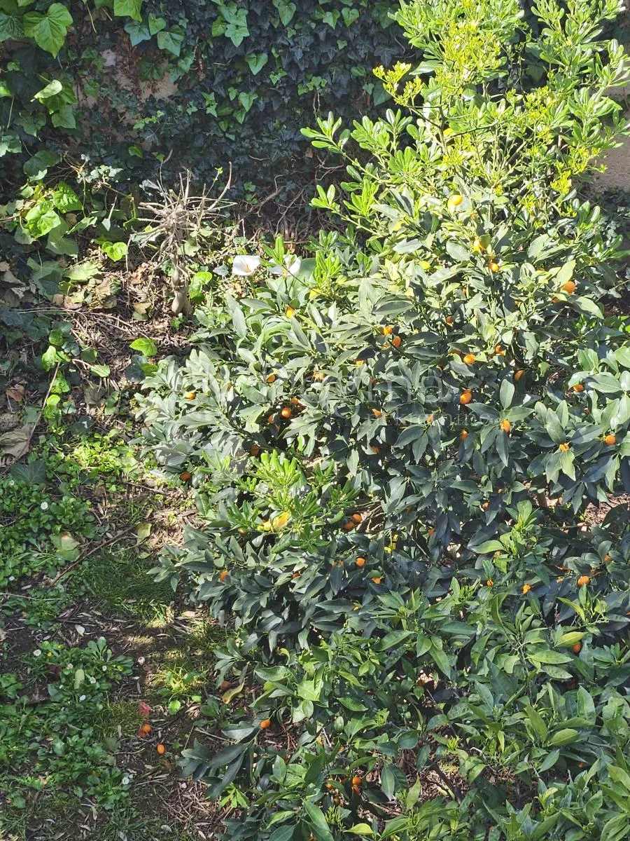 apartmanska kuća u pakoštanima - slika 37