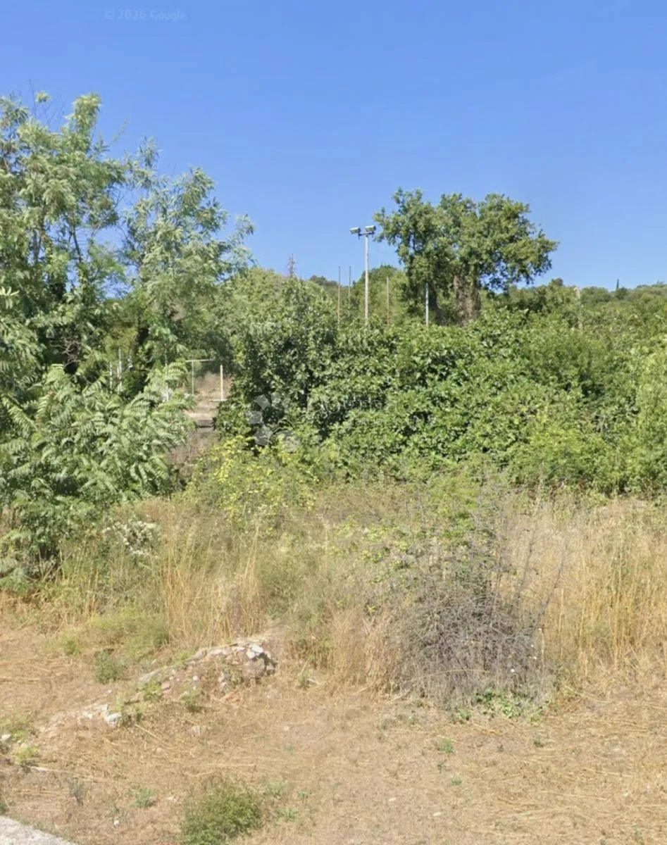zemljište s dozvolom, janjina, pelješac - slika 3