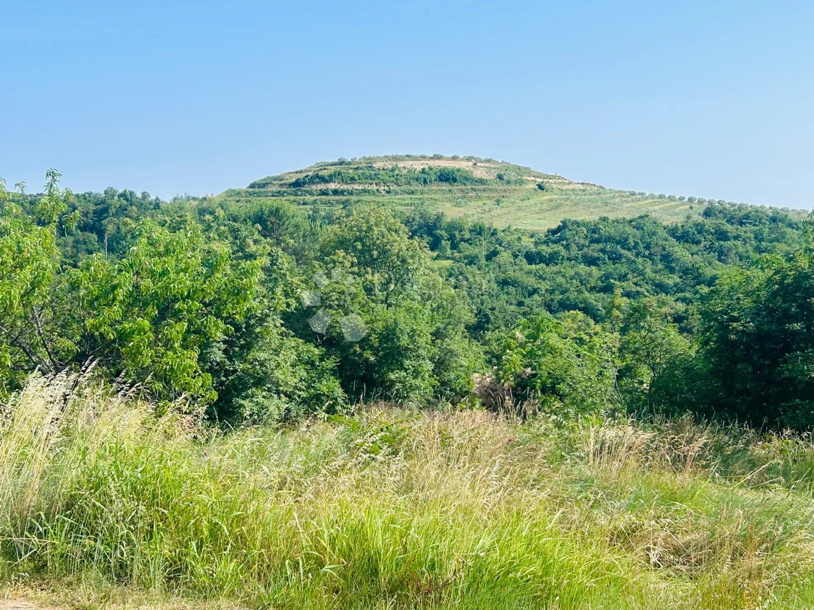 prilika!kuća s dva stana + 8153 okućnice - buje - slika 6