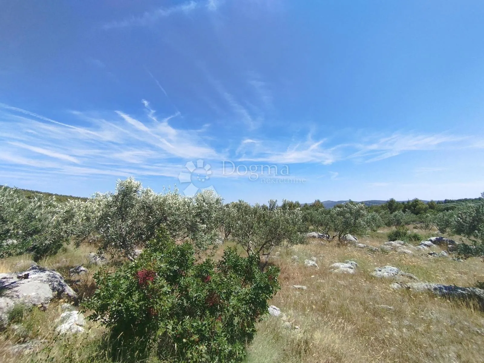 poljoprivredno zemljište marina -6000m2 - slika 3