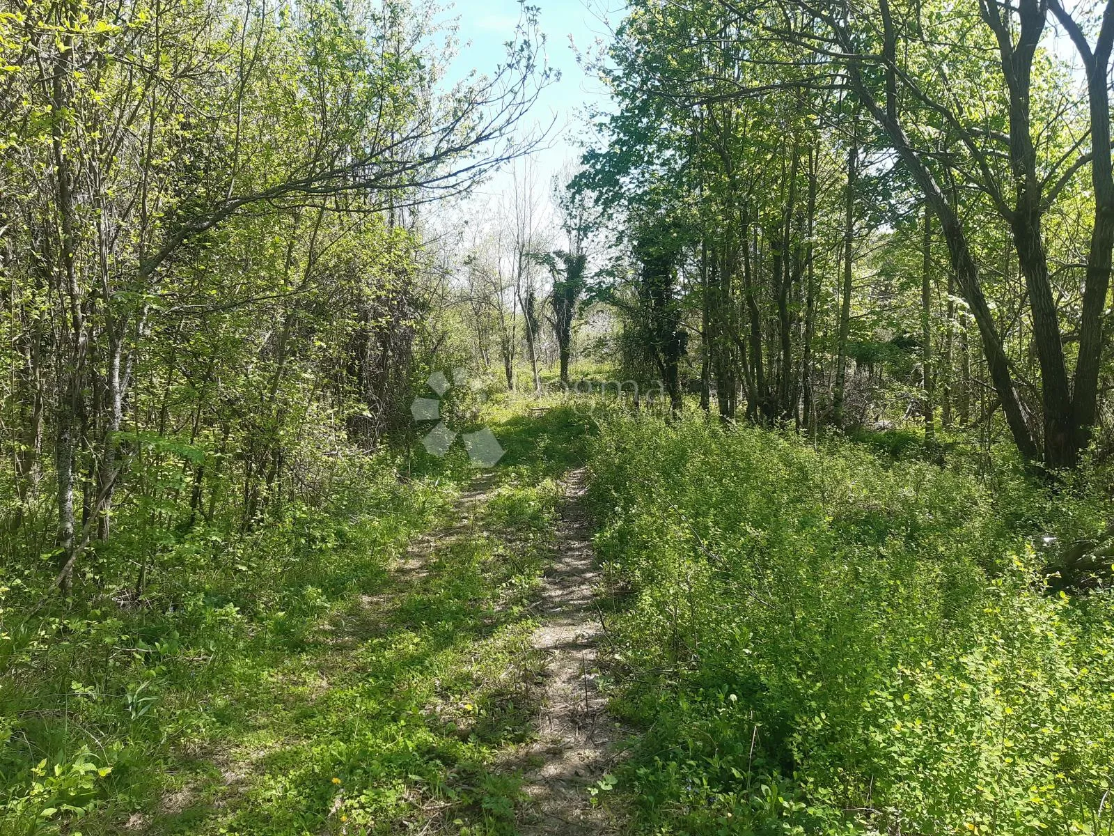 zemljište sa ruševnom kućom - slika 5
