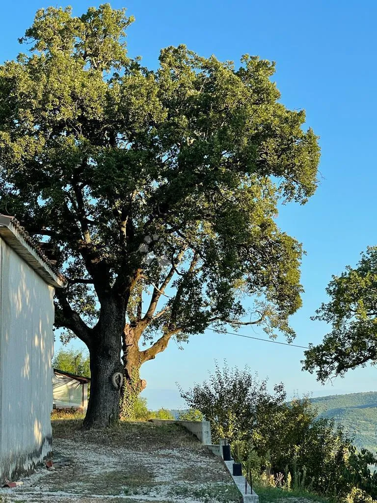 veliko građevinsko zemljište sa projektom - slika 9