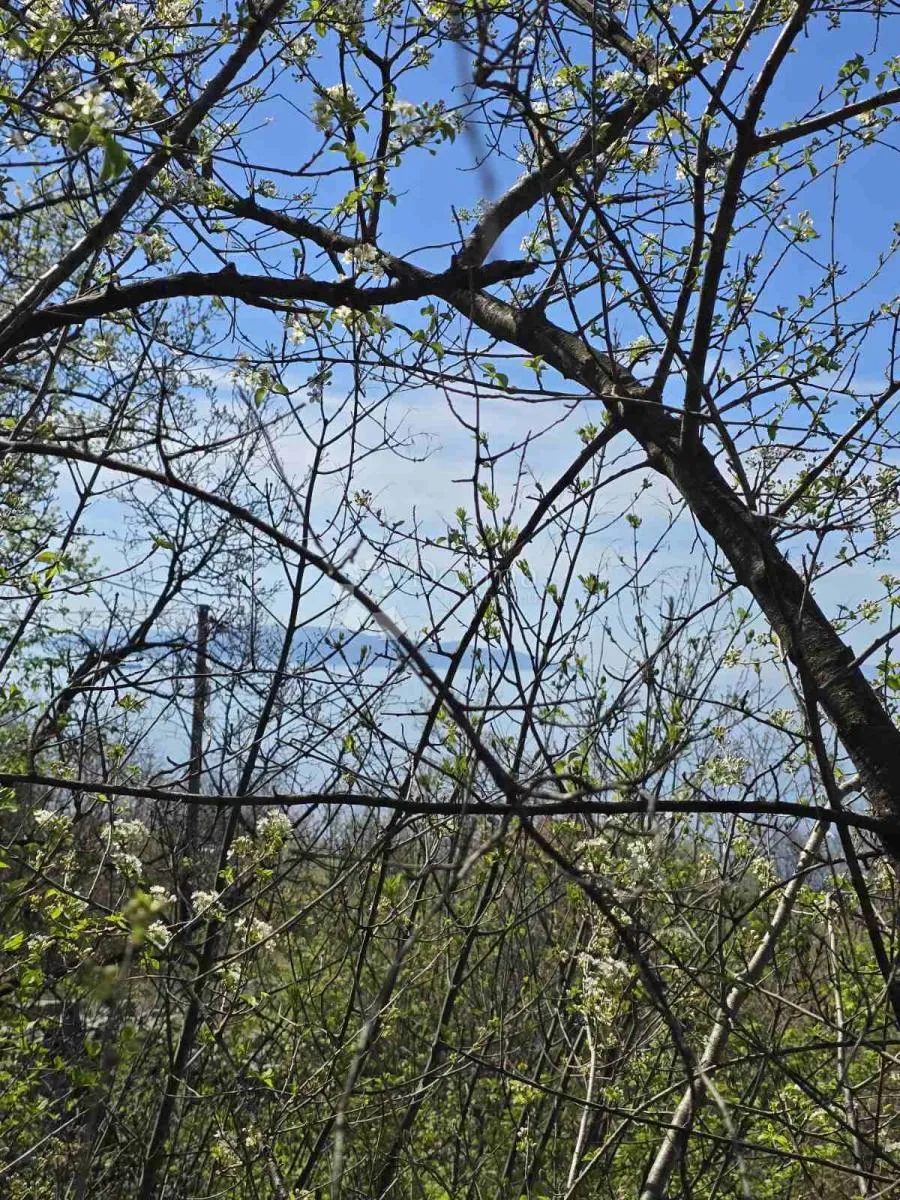 pavlovac, građevinsko zemljište s pogledom na more - slika 3