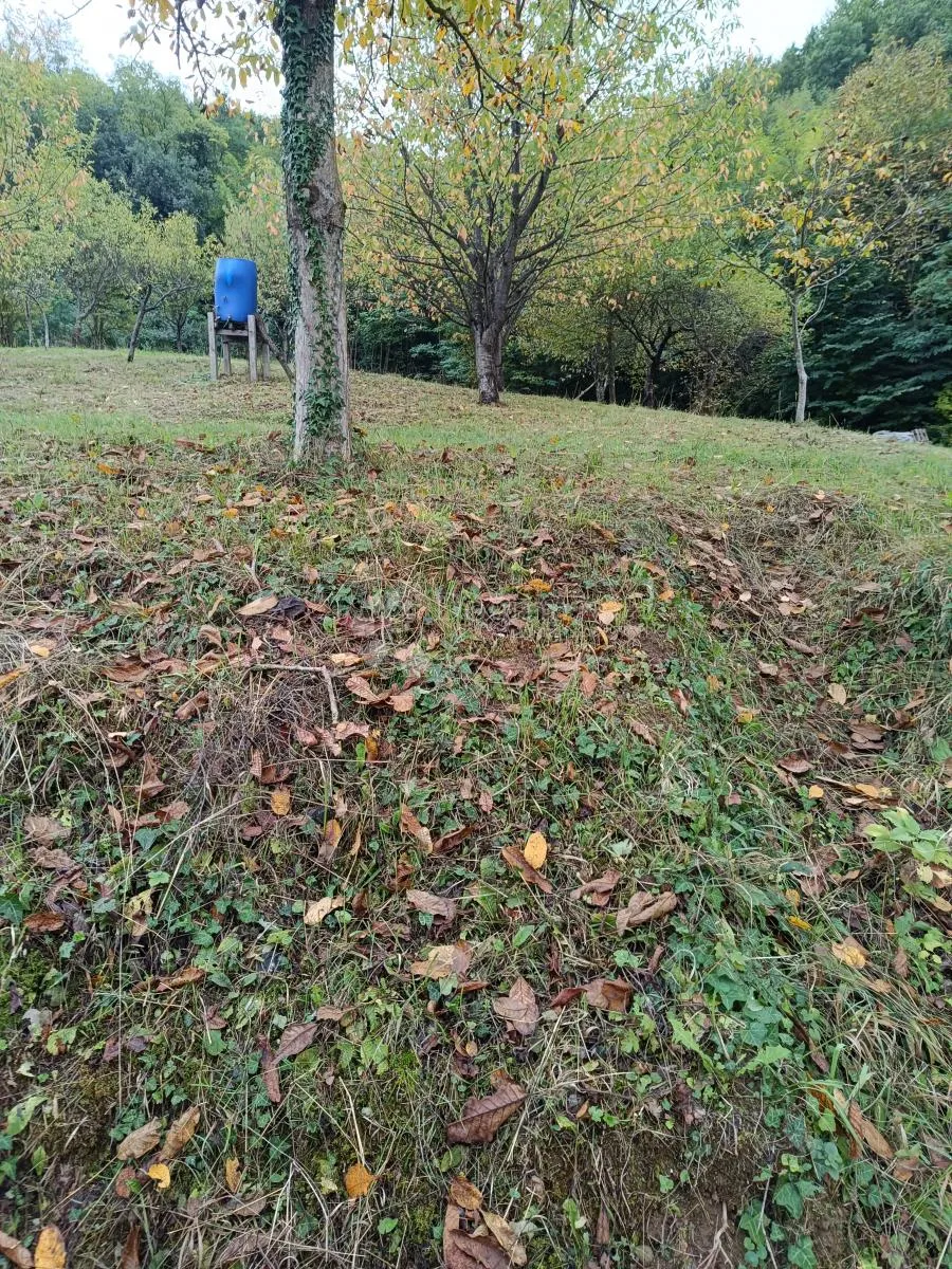 zemljište s potencijalom - slika 3