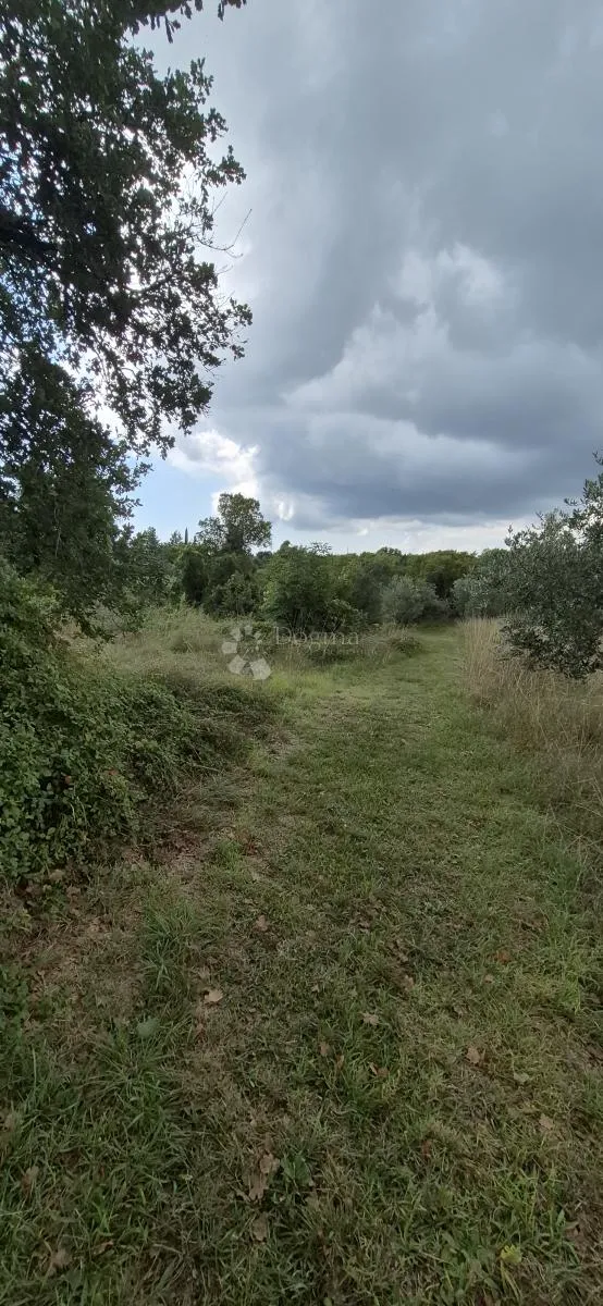 prodaje se poljoprivredno zemljište - kavran 1173 m2 - slika 6