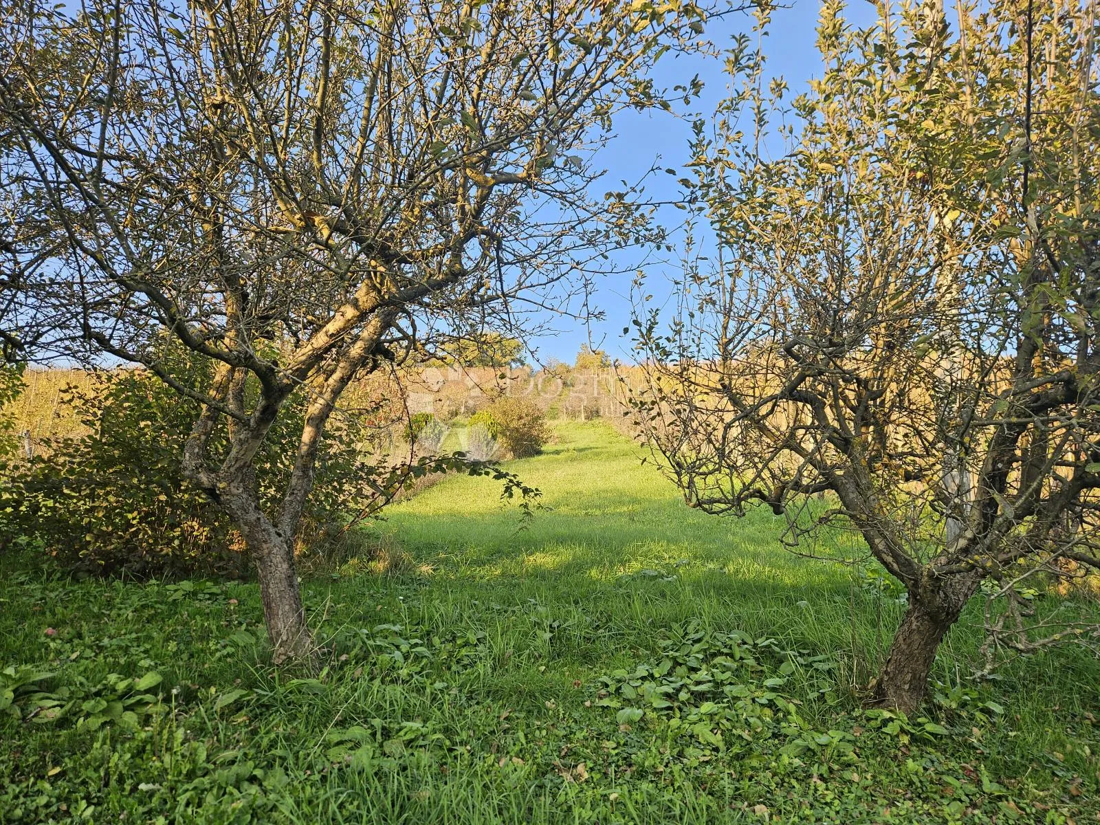 kuća za odmor u lokošin dolu - slika 31