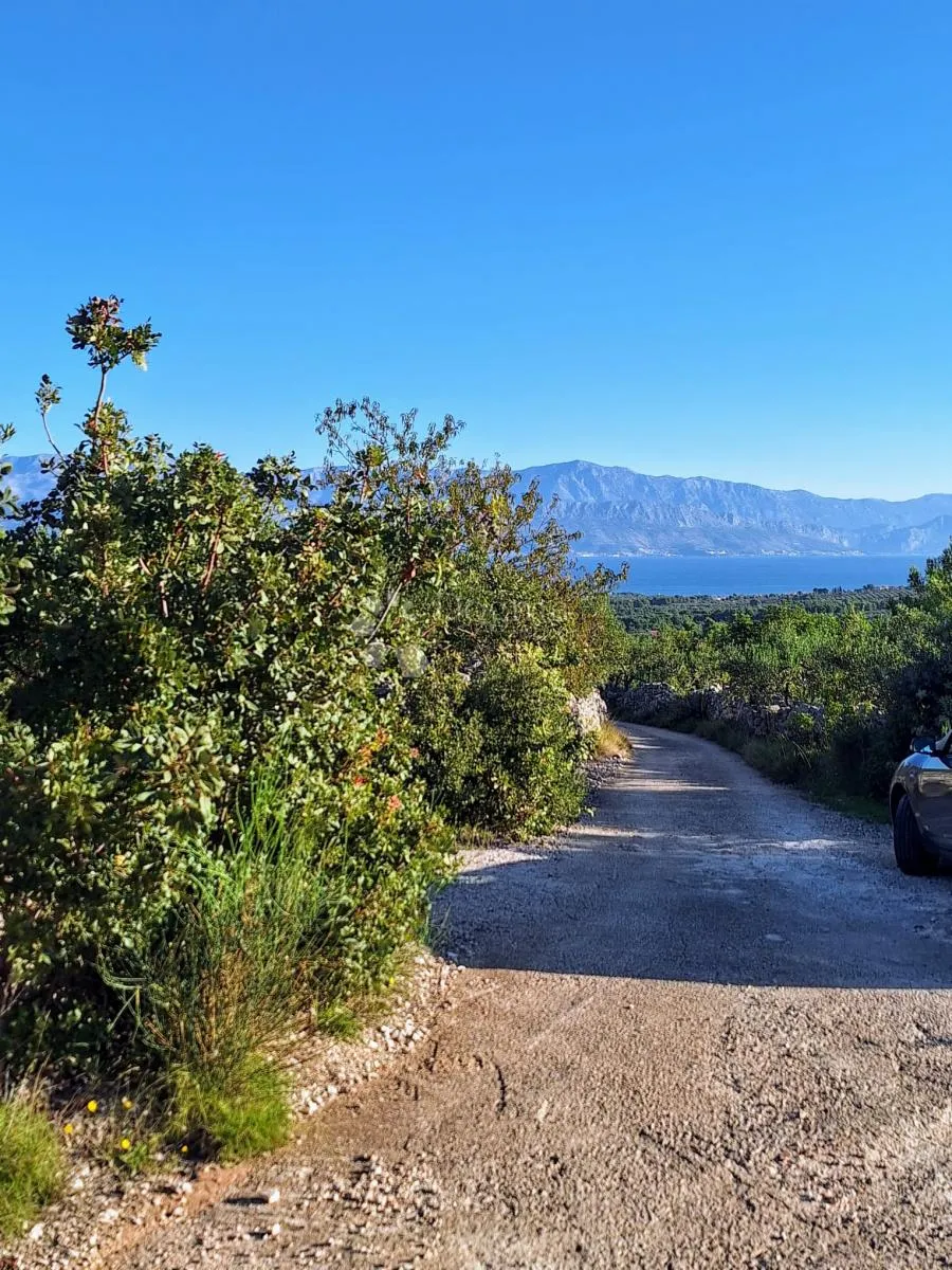 poljoprivredno zemljište na odličnoj lokaciji – mirca, brač - slika 4