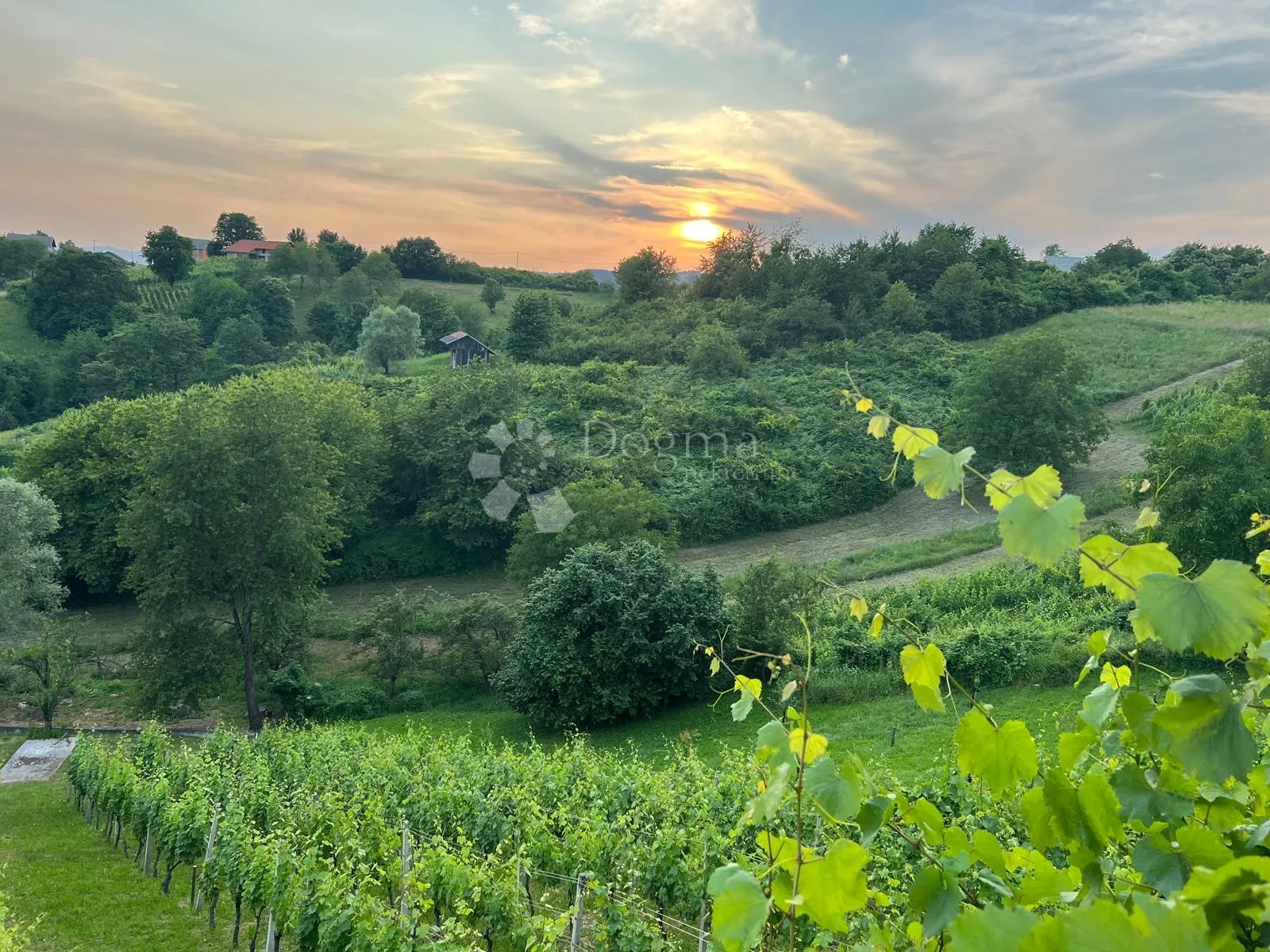 prodaja, kuća, ozalj- grandić breg, nkp 134 m2 sa okućnicom i vinogradom 3083 m2 - slika 22