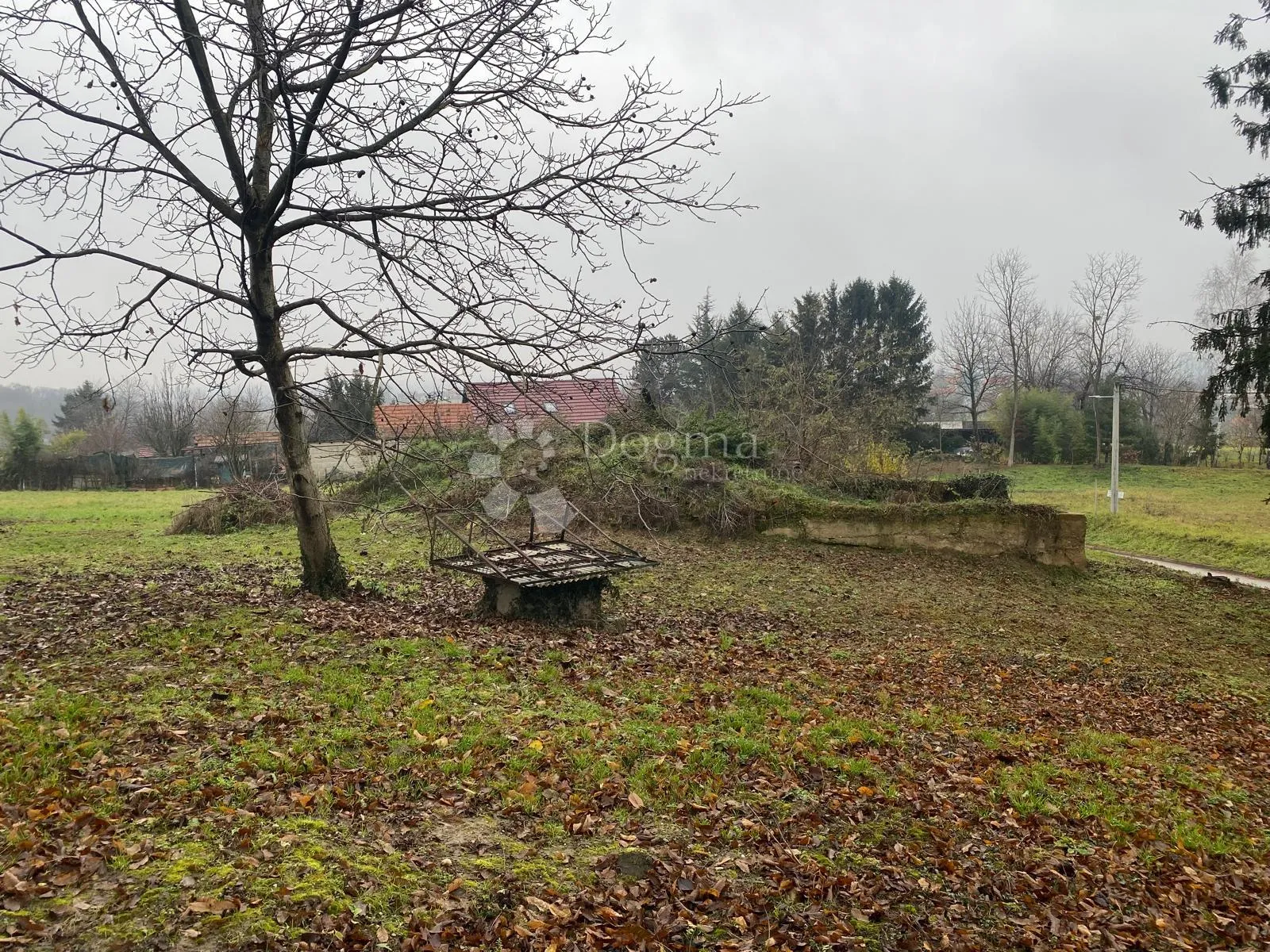 rijetkost na tržištu - slika 5