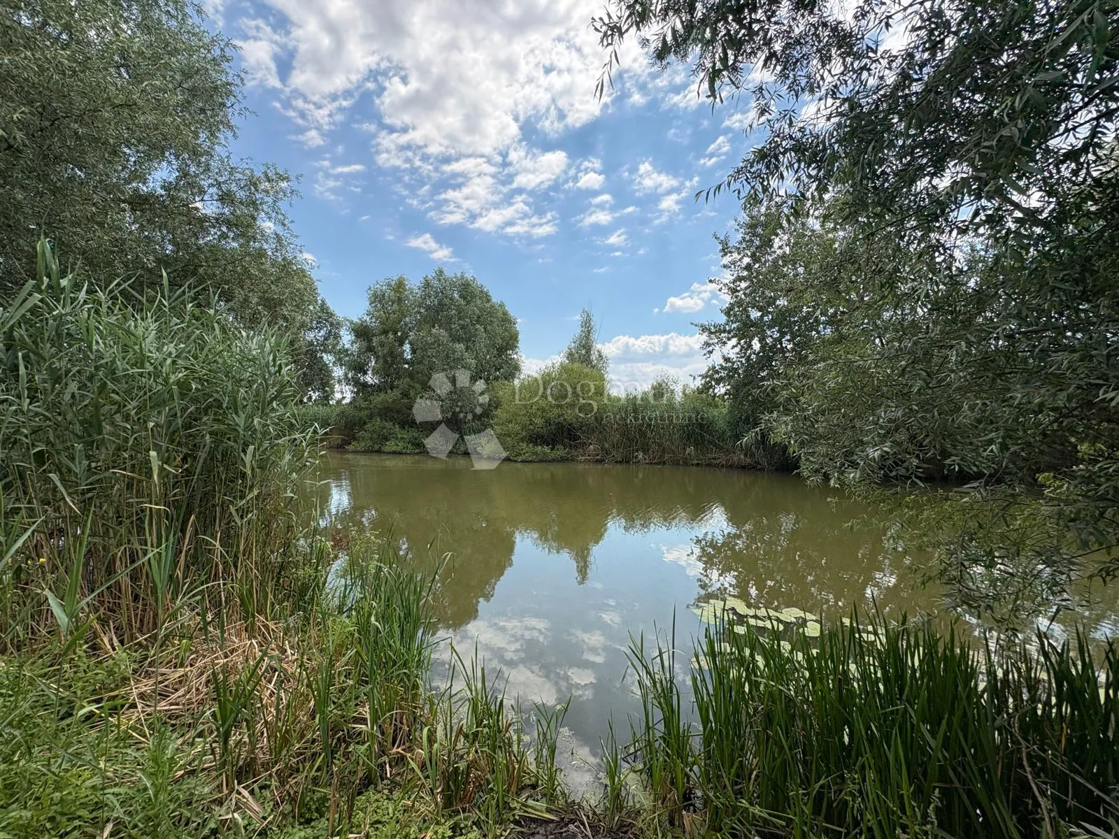atraktivno imanje s ribnjakom i turističkim potencijalom - slika 31