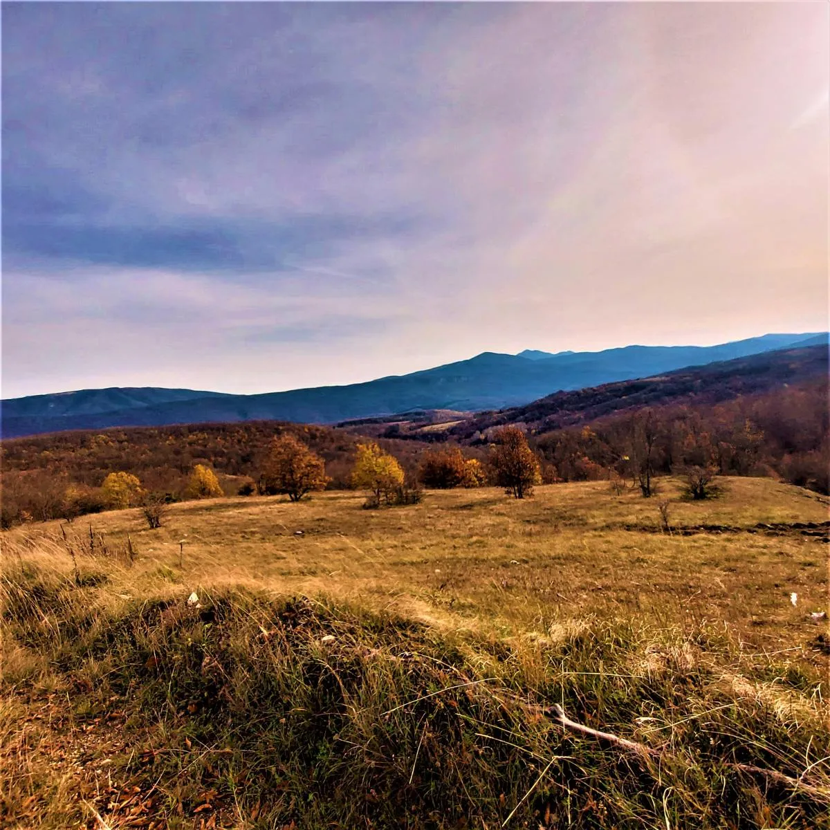poljoprivredno zemljište - slika 4