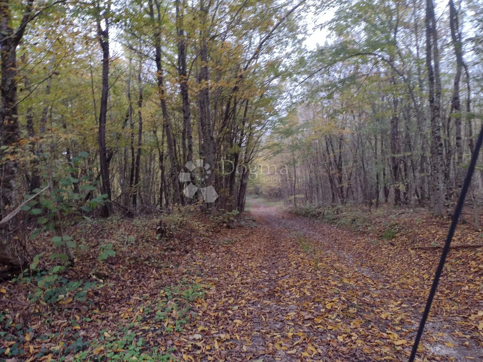 16 ha netaknute prirode - slika 10