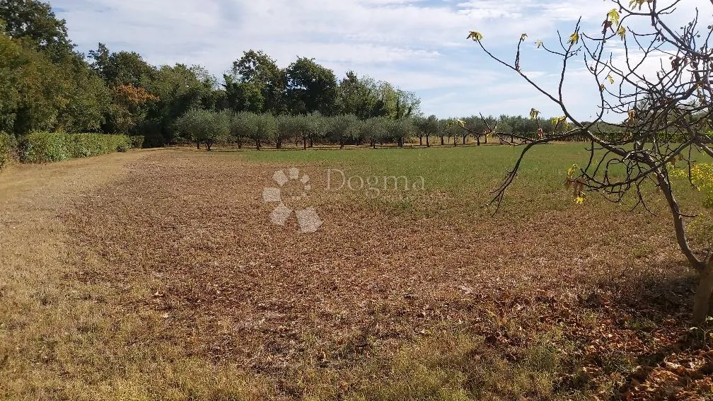 prekrasno imanje u marčani - slika 14