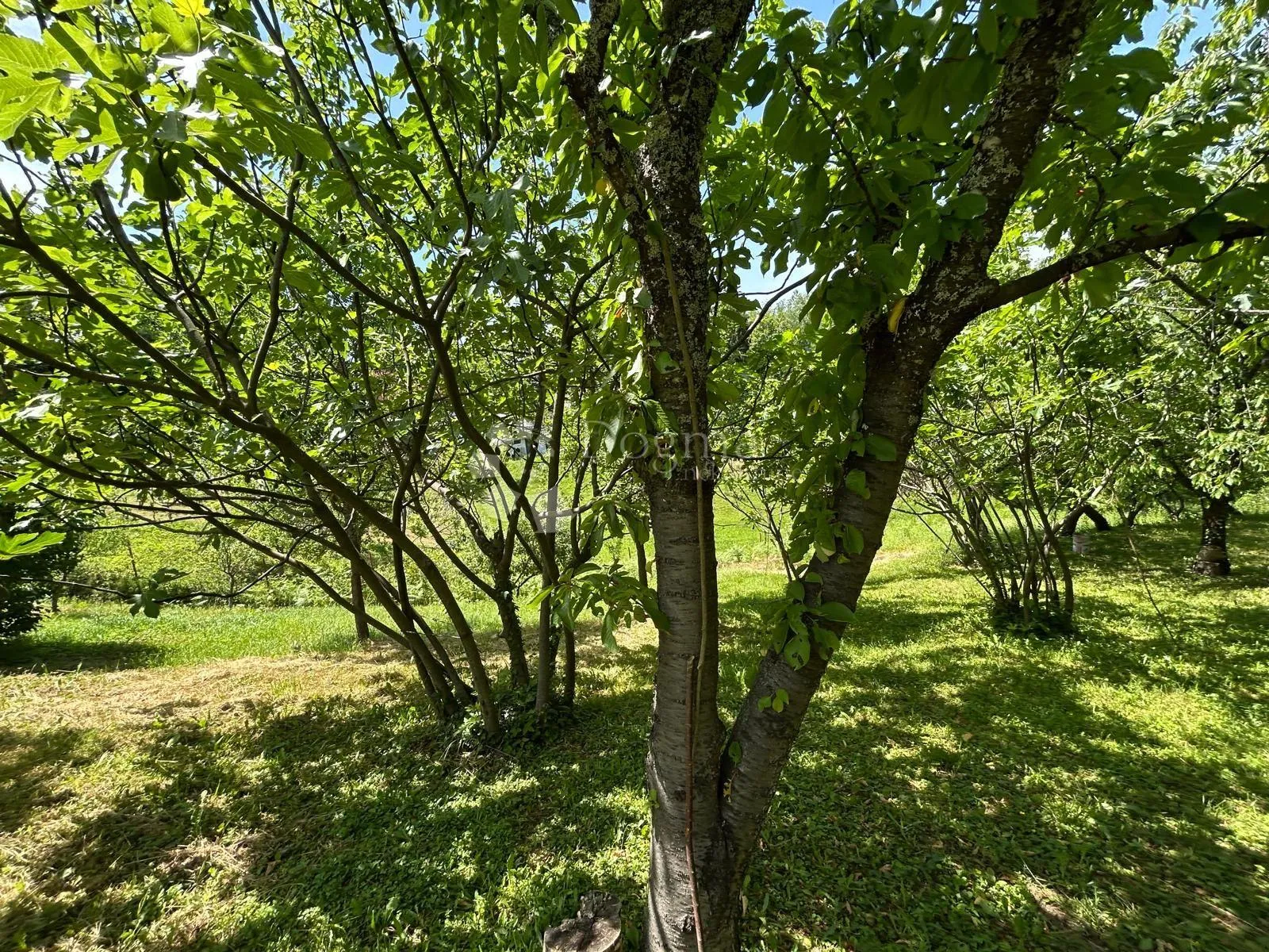 prilika, kuća, prodaja, kozjača, - slika 17