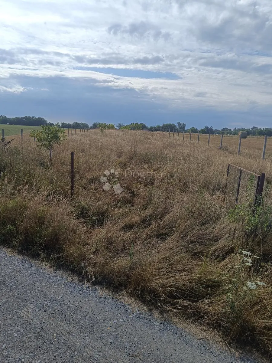 veliki potencijal - zemljište 5122 m² pored bilja - slika 3