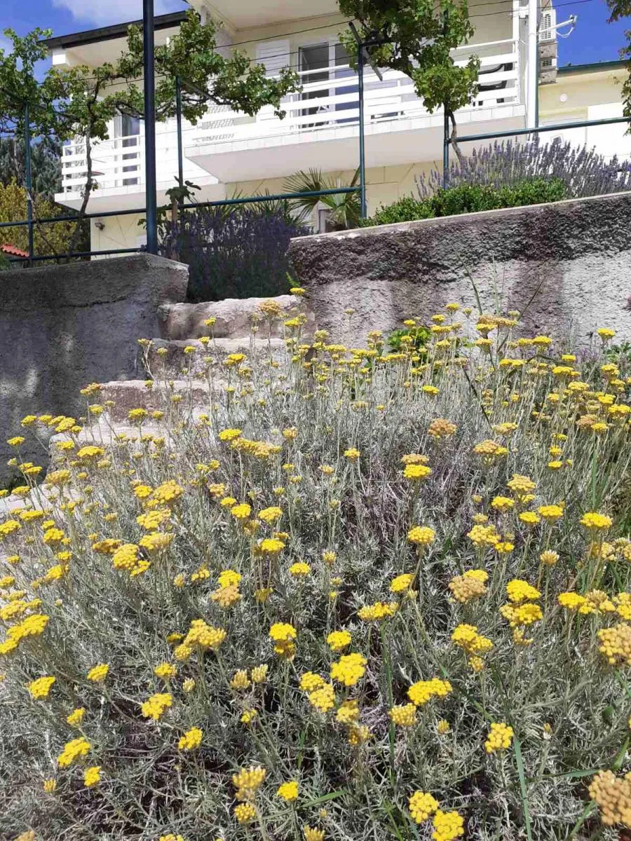 kuća na mirnoj lokaciji sa prekrasnim pogledom na more - slika 5
