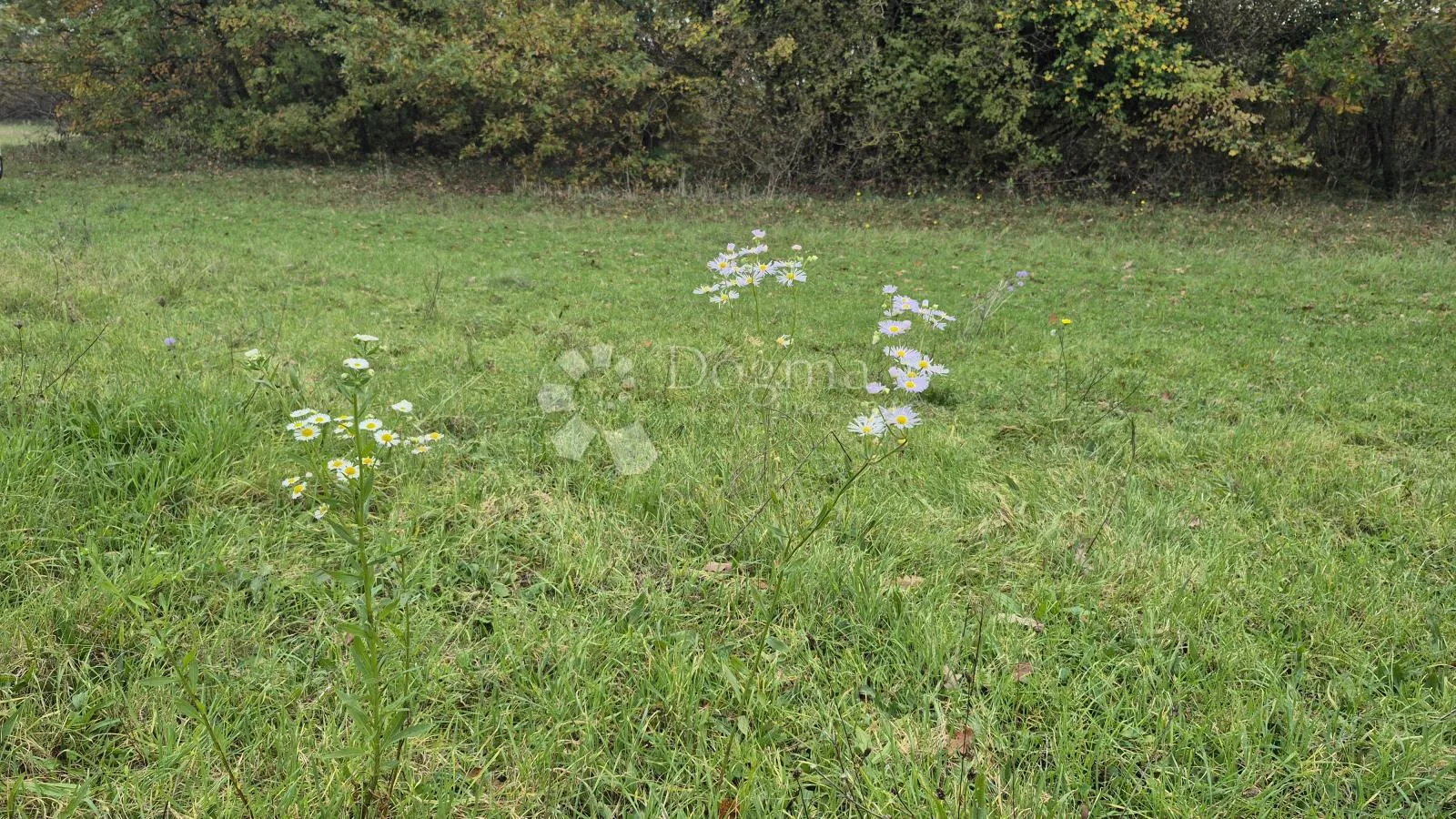 poljoprivredno zemljište nedaleko mjesta pusti 8182 m2 - slika 12