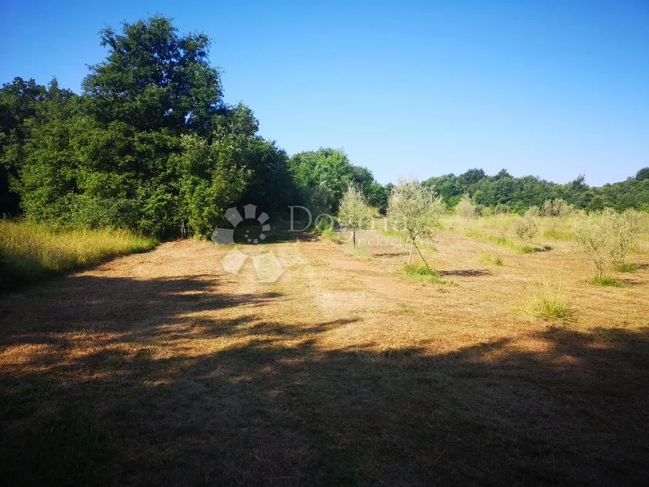 labin, okolica, imanje nadomak labina i mora - slika 9