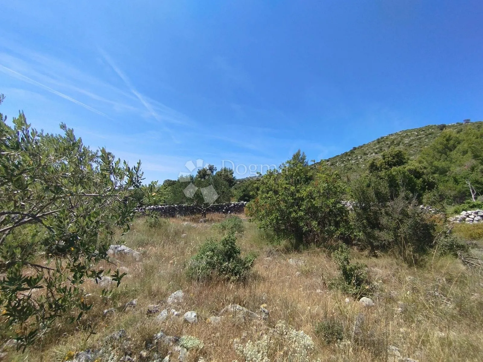 poljoprivredno zemljište marina -6000m2 - slika 4