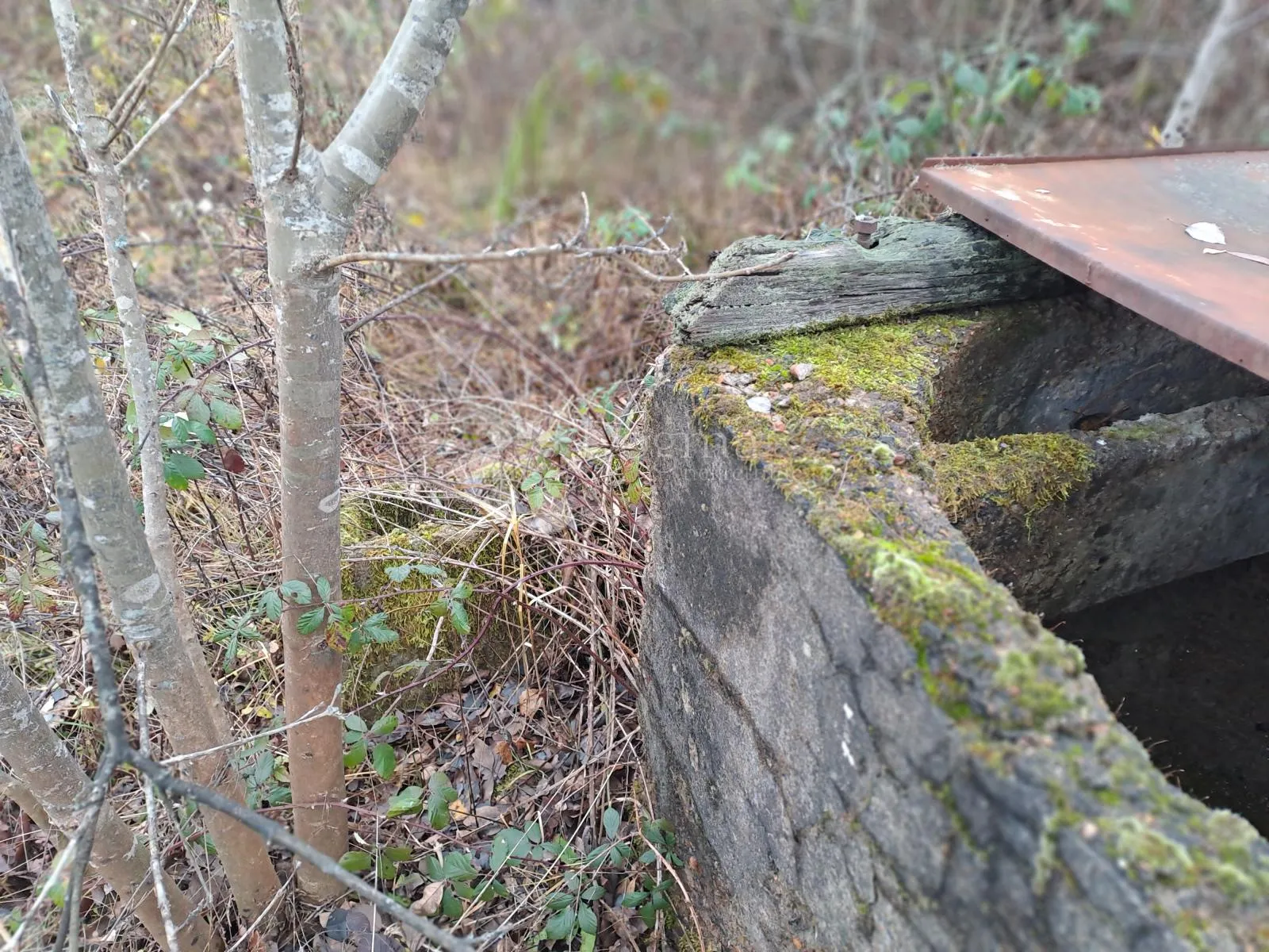 stara kuća na velikom placu - slika 5