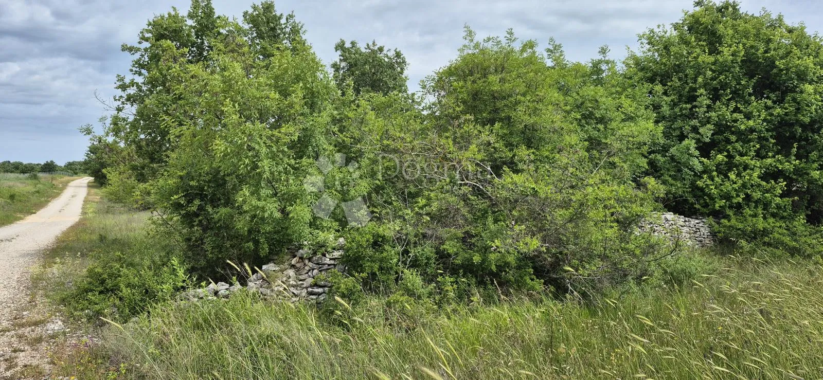 poljoprivredno zemjište uz istarski ipsilon - slika 2