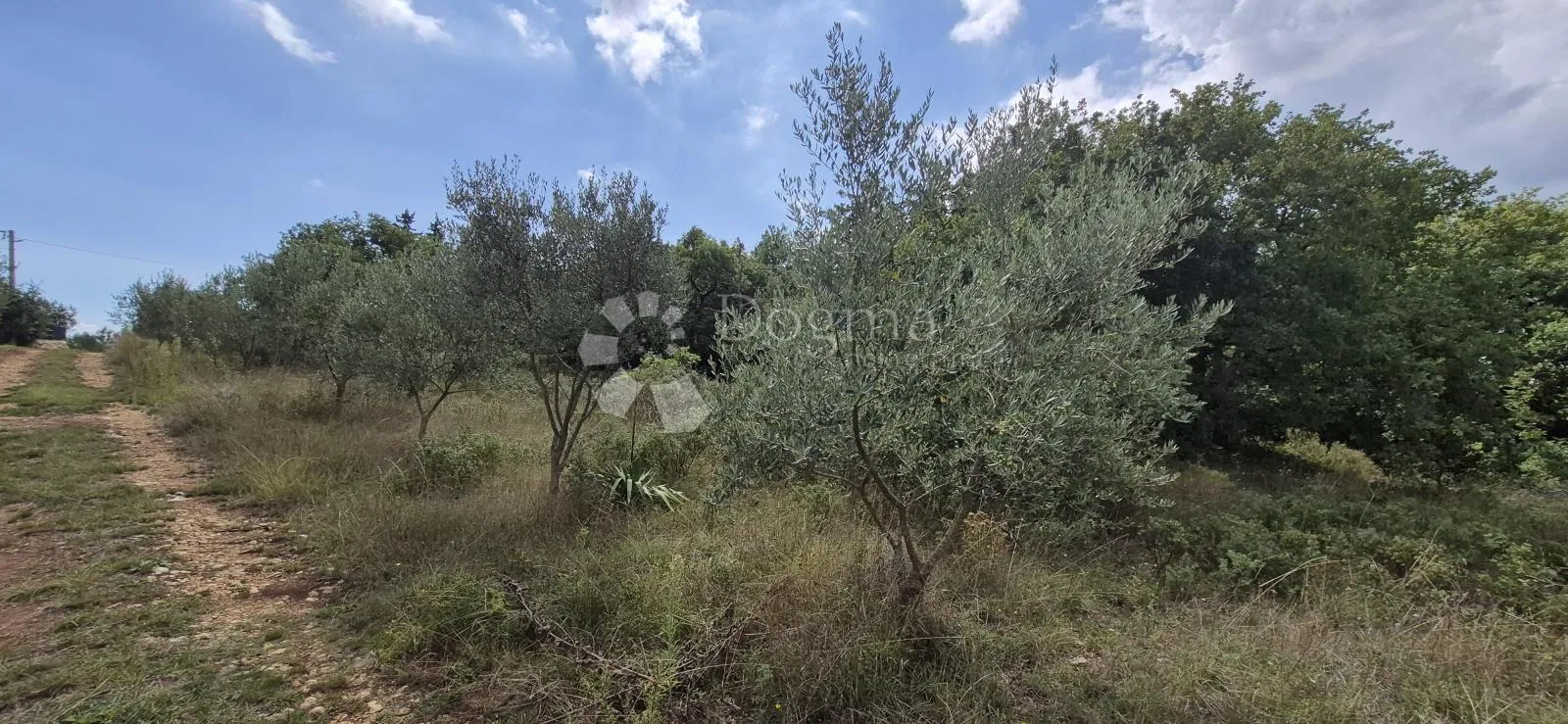 prodaja poljoprivrednog zemljišta - kavran 1288 m2 - slika 5