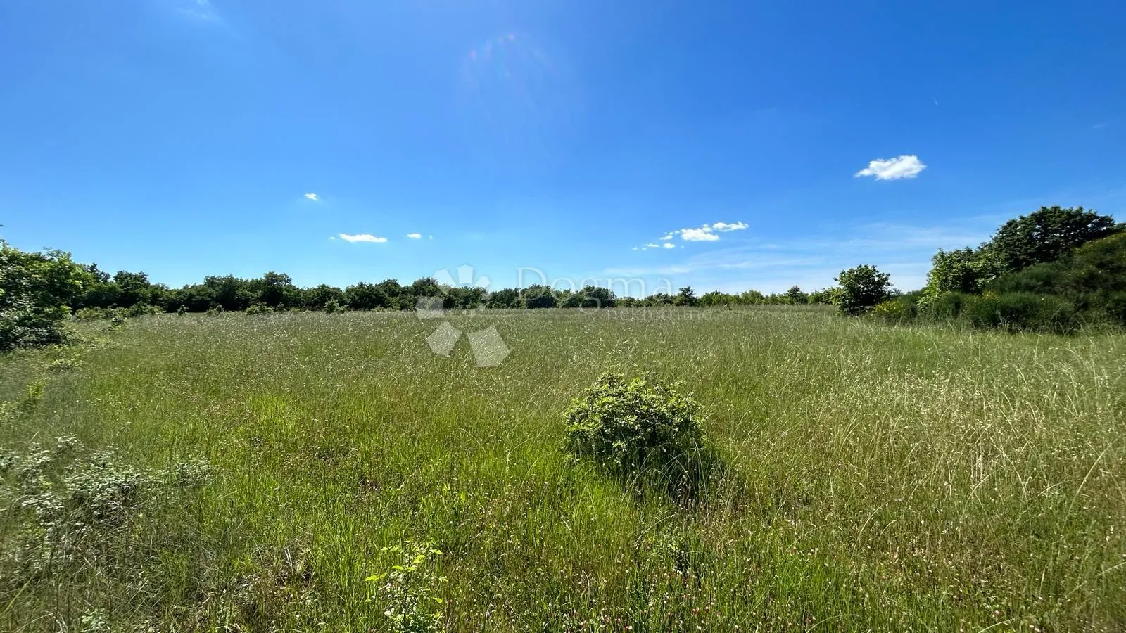 šuma u marčani: 17544 m² s pristupnim putem - slika 6