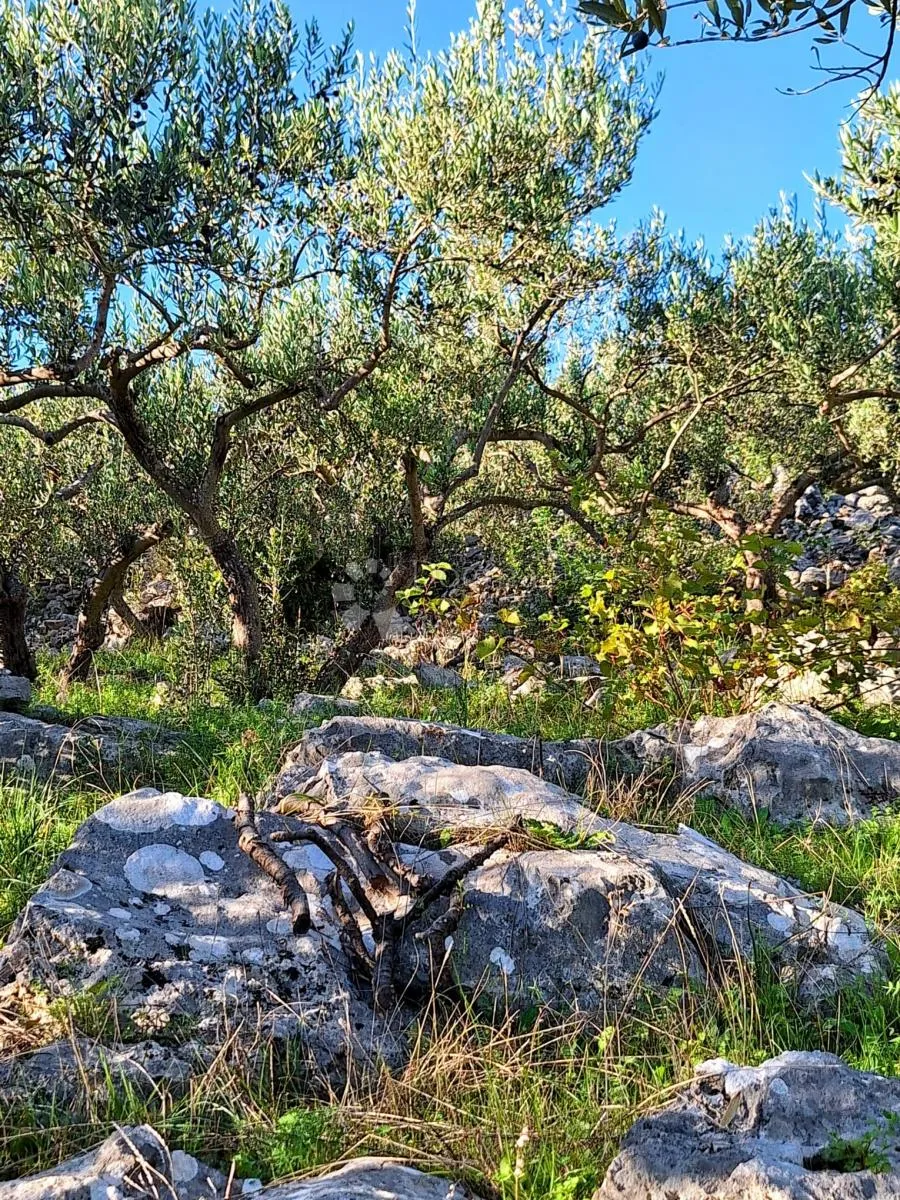 poljoprivredno zemljište na odličnoj lokaciji – mirca, brač - slika 7