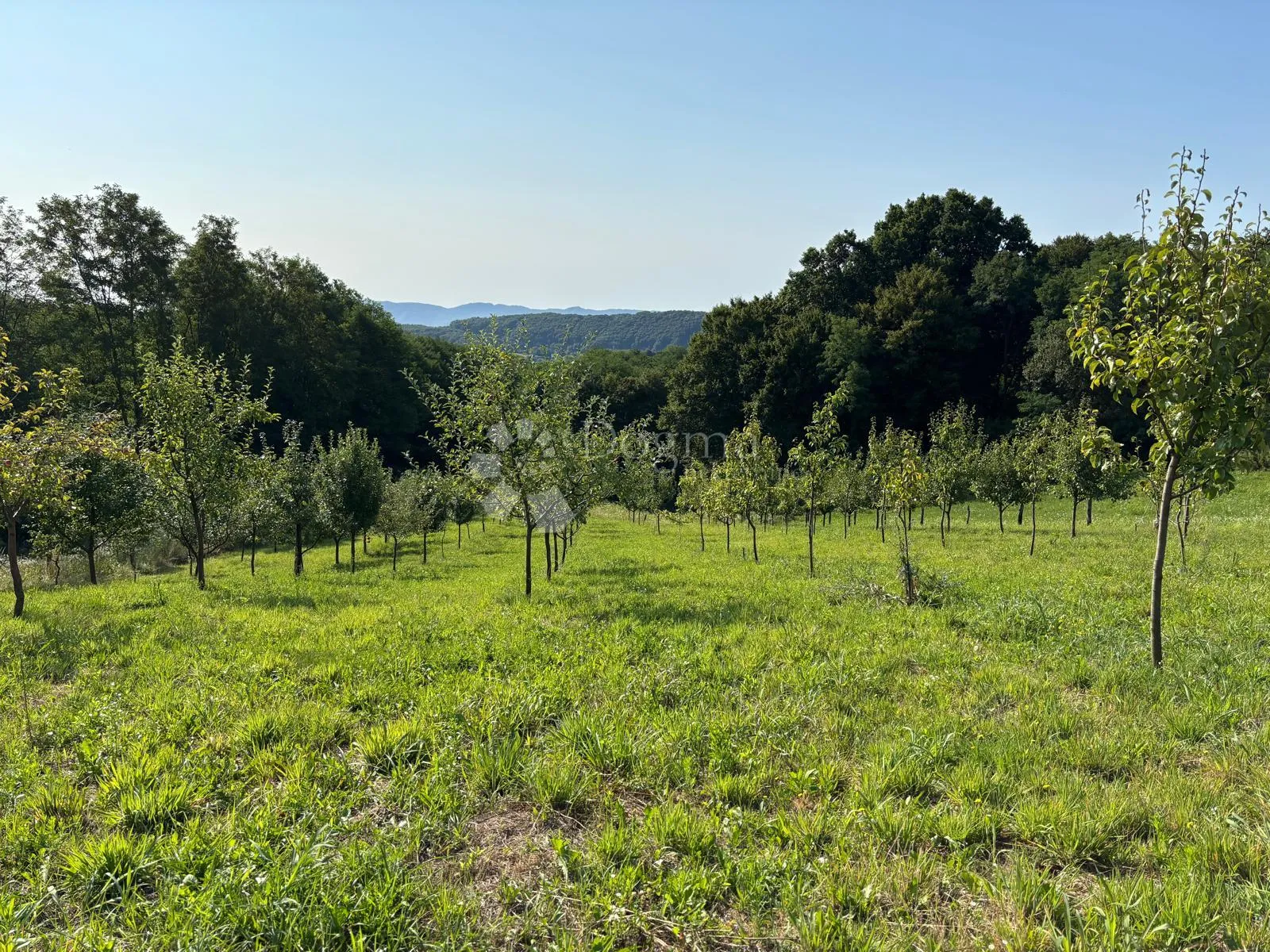 na prodaju zemljište 8.631 m² s voćnjakom – mir i priroda ! - slika 2