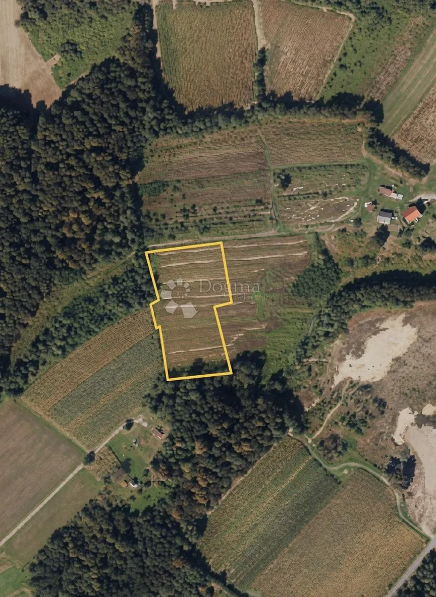POLJOPRIVREDNO ZEMLJIŠE ŠUŠNJARI - 7507m² - Šušnjari, Križ