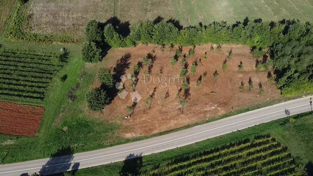 barban okolica, atraktivno zemljište s pogledom na more - slika 4
